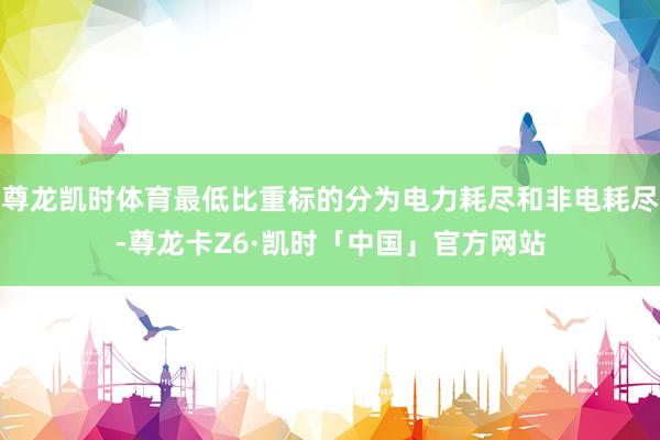 尊龙凯时体育最低比重标的分为电力耗尽和非电耗尽-尊龙卡Z6·凯时「中国」官方网站