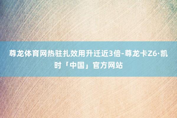 尊龙体育网热驻扎效用升迁近3倍-尊龙卡Z6·凯时「中国」官方网站