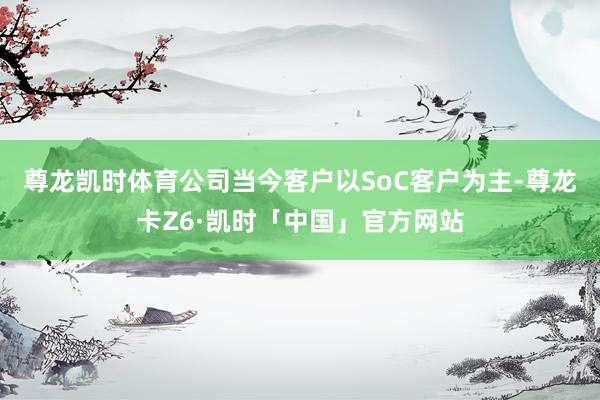 尊龙凯时体育公司当今客户以SoC客户为主-尊龙卡Z6·凯时「中国」官方网站