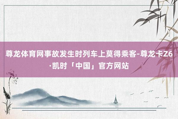 尊龙体育网事故发生时列车上莫得乘客-尊龙卡Z6·凯时「中国」官方网站
