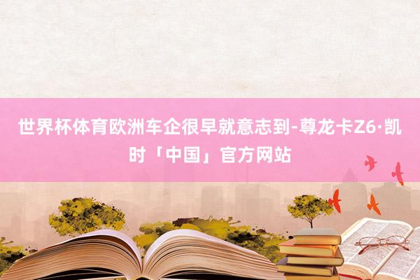世界杯体育欧洲车企很早就意志到-尊龙卡Z6·凯时「中国」官方网站