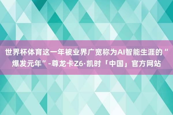 世界杯体育这一年被业界广宽称为AI智能生涯的“爆发元年”-尊龙卡Z6·凯时「中国」官方网站