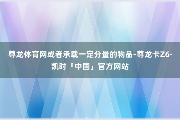 尊龙体育网或者承载一定分量的物品-尊龙卡Z6·凯时「中国」官方网站