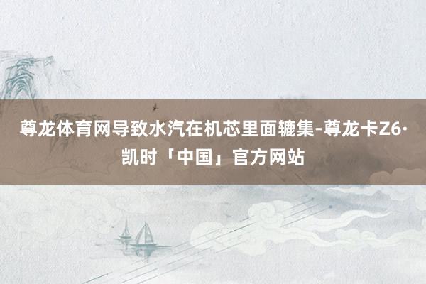 尊龙体育网导致水汽在机芯里面辘集-尊龙卡Z6·凯时「中国」官方网站